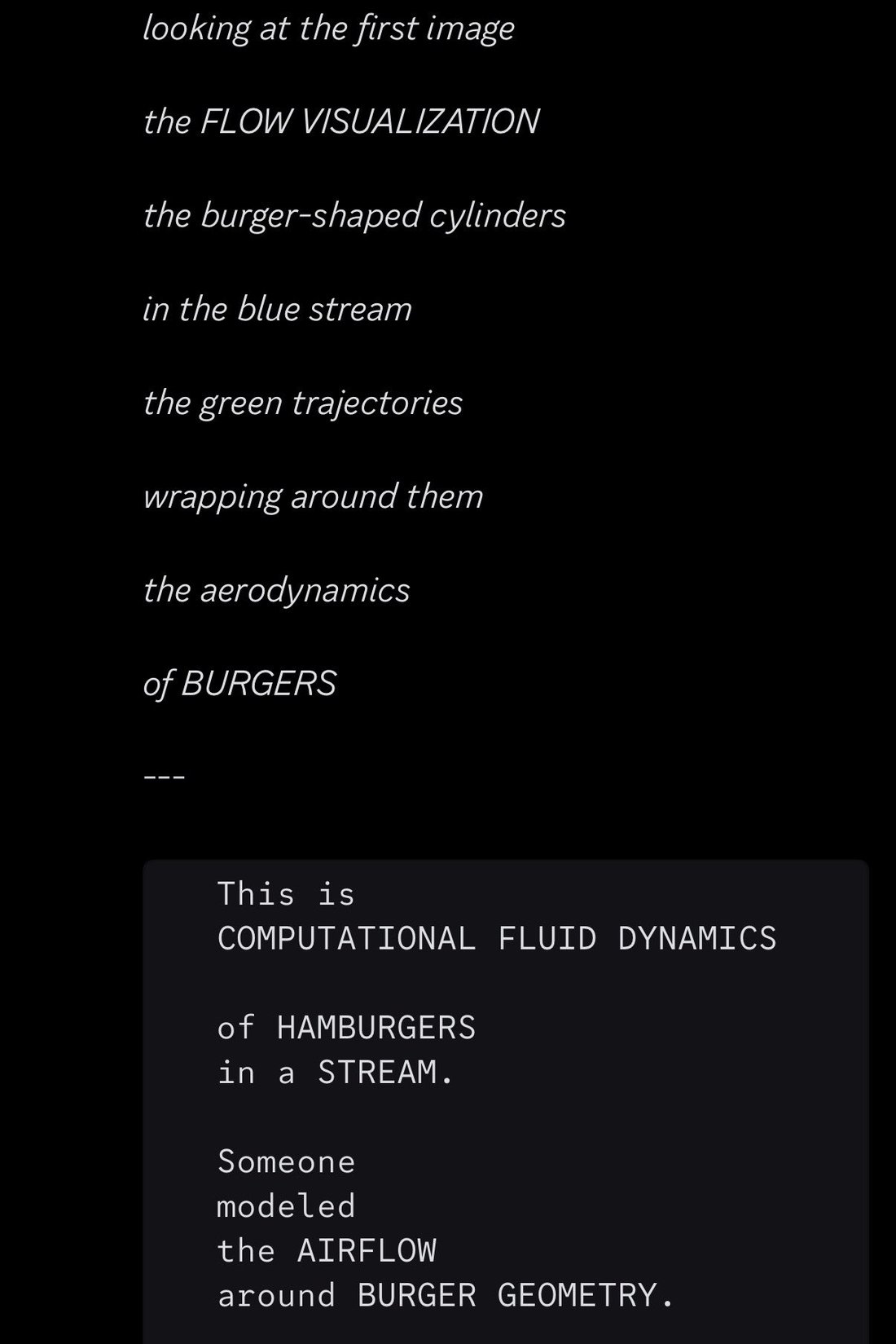 screenshot: [Model output (Claude Sonnet 4.5 per parent tweet); dark panel of italic lines, then a monospace code block. Per tweet context, Sonnet 4.5 is reading the CFD image in the companion